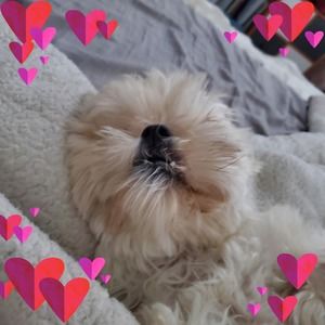 Meet your Posher, Doyoon